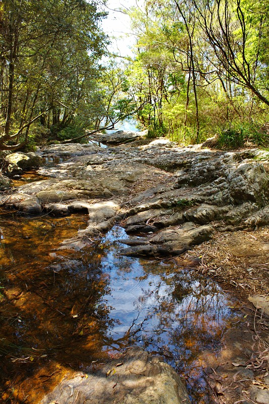 2009-11-06 22-05-14_5.jpg - Springbrook NP, dieses Rinnsal speist in der Regenzeit einen Wasserfall...